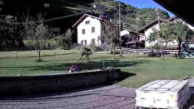 Joy Valtellina Per Amanti Degli Animali 호텔 Tresenda 외부 사진